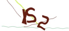 Identifying code