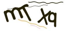 Identifying code