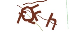 Identifying code