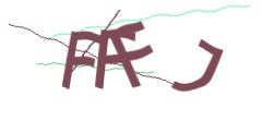 Identifying code