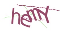 Identifying code