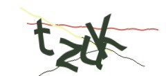 Identifying code