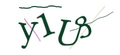 Identifying code
