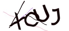 Identifying code