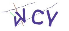 Identifying code