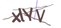 Identifying code
