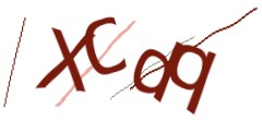 Identifying code