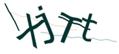 Identifying code