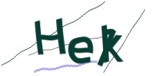 Identifying code