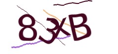 Identifying code