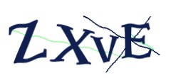Identifying code