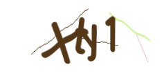Identifying code