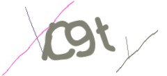 Identifying code
