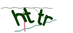 Identifying code