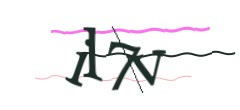 Identifying code