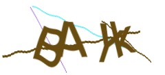 Identifying code