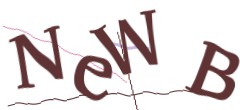 Identifying code