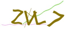 Identifying code