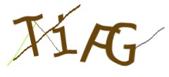 Identifying code
