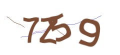 Identifying code