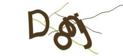 Identifying code