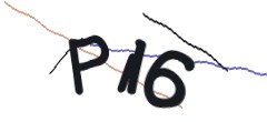 Identifying code