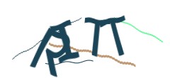 Identifying code