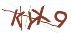 Identifying code