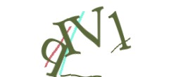 Identifying code