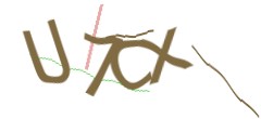 Identifying code