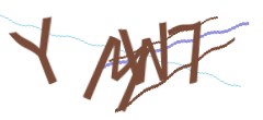 Identifying code