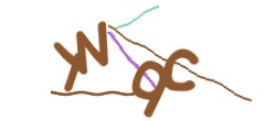 Identifying code
