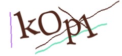 Identifying code