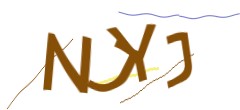 Identifying code