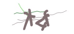 Identifying code