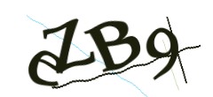 Identifying code