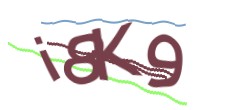 Identifying code