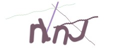 Identifying code