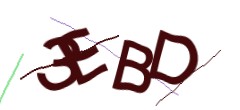 Identifying code