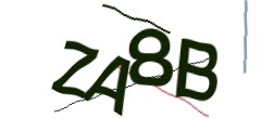Identifying code