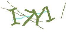 Identifying code