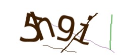 Identifying code