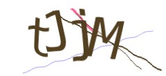 Identifying code