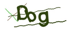 Identifying code