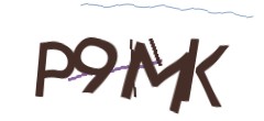 Identifying code