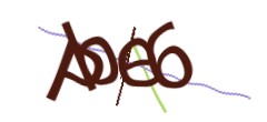 Identifying code