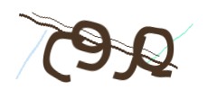 Identifying code