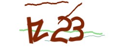Identifying code