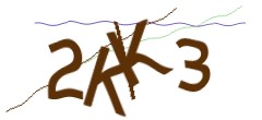 Identifying code