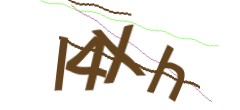 Identifying code